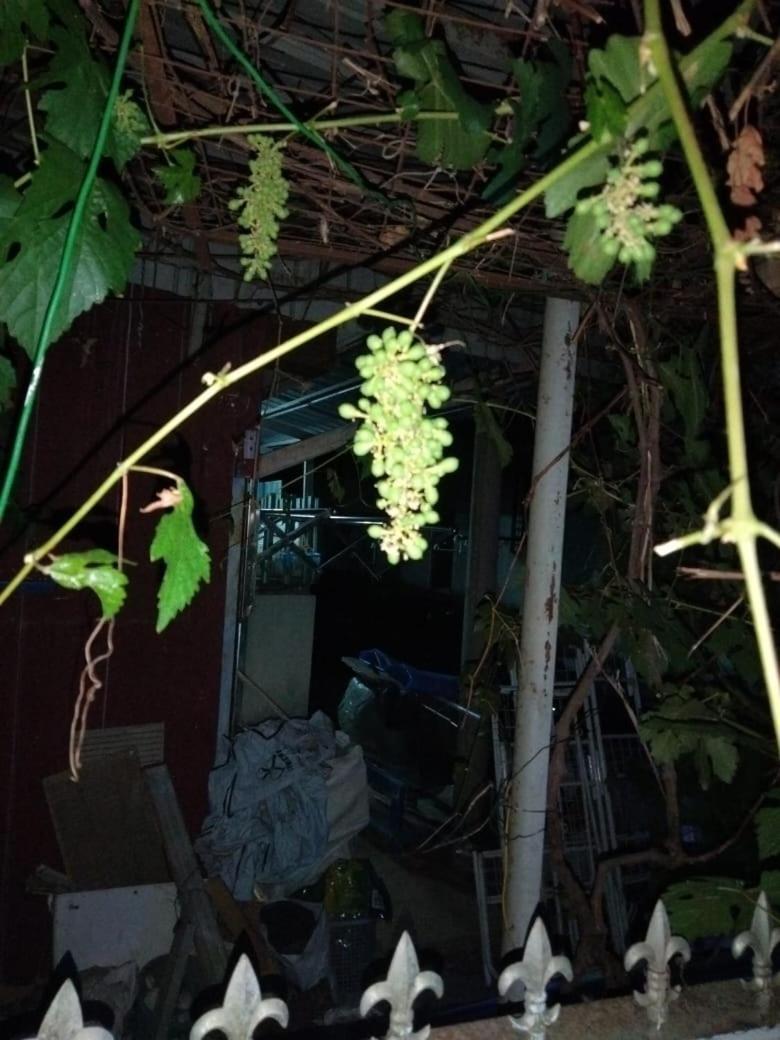 Singgahan Keluarga Jitu جيترا المظهر الخارجي الصورة